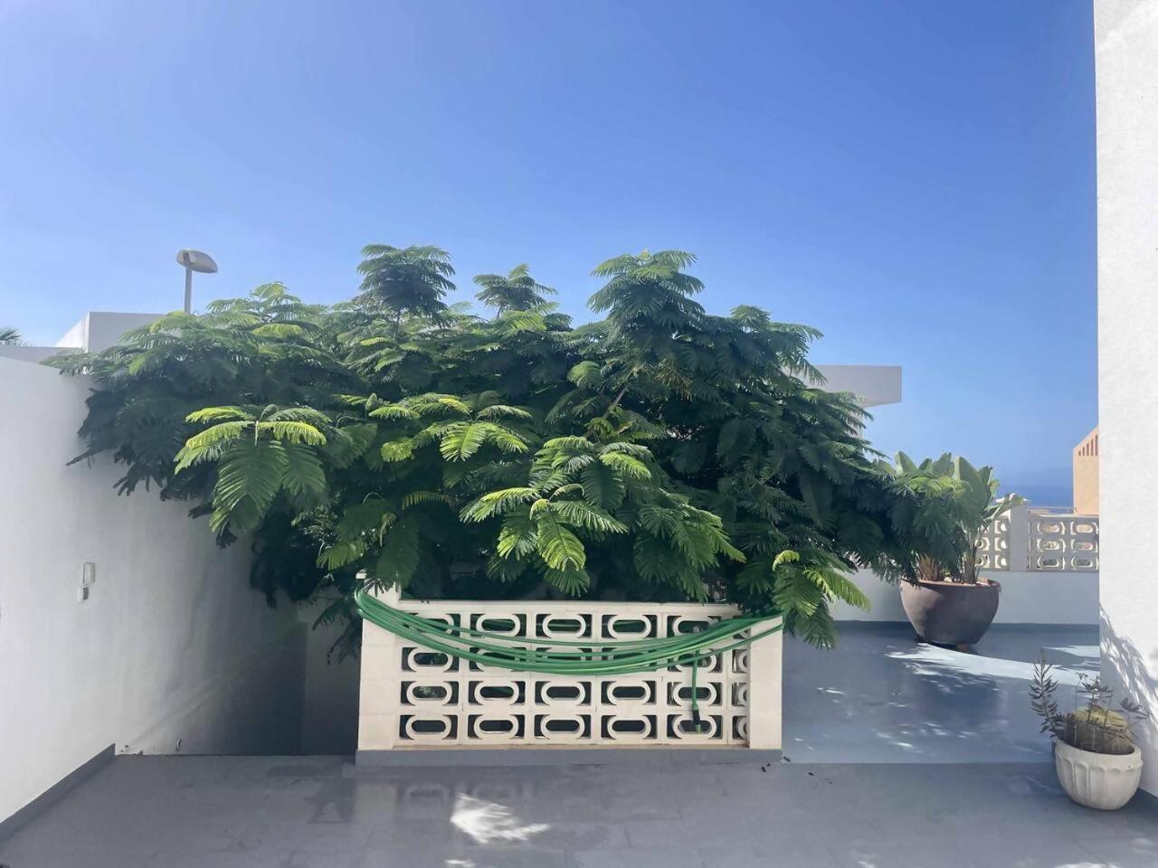 אדחה Villa Casa Flamboyant מראה חיצוני תמונה